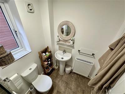 Picture 17